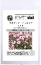 A566 有機種子 サポナリア・バッカリア / 道灌草 固定種 50粒 GREENFIELD PROJECT グリーンフィールドプロジェクト 【ポスト投函便】