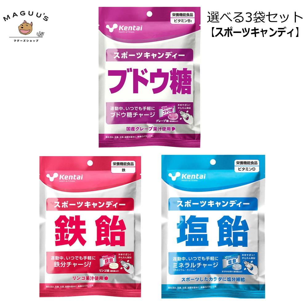 【選べる3袋セット】ケンタイ スポーツキャンディ 【ポスト投函便】kentai 飴 あめ アメ 塩飴 塩あめ 鉄分 ブドウ糖 ぶどう糖