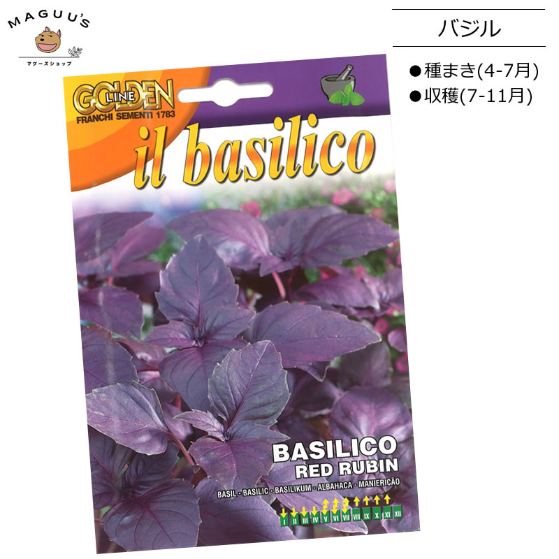 種まき(4-7月)　バジル レッドルビンの種 BASILICO RED RUBIN [13/10] Franchi社　 野菜 ハーブ 種(たね) 【ポスト投函便】