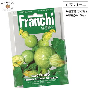 種まき(3-7月)　丸ズッキーニの種 ZUCCHINO TONDO CHIARO DI NIZZA [146/18] Franchi社 野菜 ズッキーニ 種(たね)【ポスト投函便】