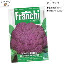 種まき(6-8月)　カリフラワーの種 CAVOLFIORE DI SICILIA VIOLETTO  Franchi社　 野菜 アブラナ 種(たね)