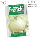 種まき(5-7月)　コールラビの種 CAVOLO RAPA DI VIENNA BIANCO  Franchi社　 野菜 アブラナ 種(たね)　