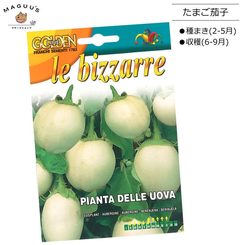 種まき(4-7月) たまごナスの種 PIANTA DELLE UOVA [343/10] Franchi社　 野菜 茄子 なす 種 (たね) 【ポスト投函便】のサムネイル