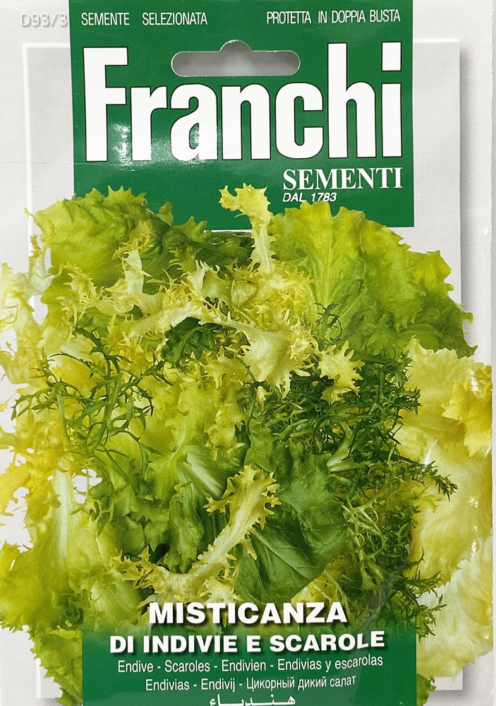 種まき(2-4月/8-9月)　エンダイブミックスの種 MISTICANZA DI INDIVIE E SCAROLE  Franchi社　 野菜 ハーブ 種(たね) 