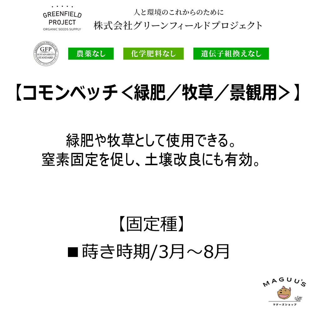 【緑肥の種(タネ)】 (A630 コモンベッチ (緑肥/牧草) 20g(約300粒) 固定種) 自然農...
