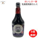 ジャフマック 乳酸菌発酵カシス 565ml (5倍希釈) / スーパーフルーツ ポリフェノール アントシアニン