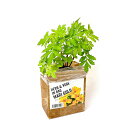 【栽培キット】HERB & VEGE IN BAG 袋で育てる栽培セット