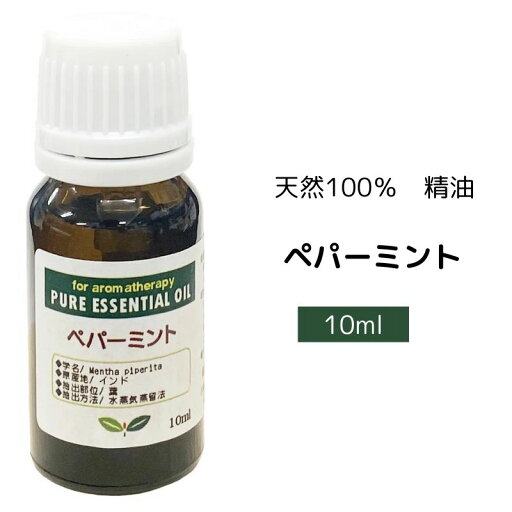 精油 ピュア エッセンシャルオイル ペパーミント 10ml ネイチャーワークス【ポスト投函】アロマオイル 精油 ピュア エッセンシャルオイル ペパーミント 10ml ネイチャーワークス【ポスト投函】アロマオイル