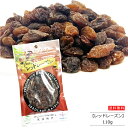 【110g/330g/550g/2.2kg】バイオシード レッドレーズン 110g ペルシャ産 HALAL(ハラール)認証 【ポスト投函便】 天日干し ドライフルーツ ぶどう 種なし おやつ 鉄分 無添加