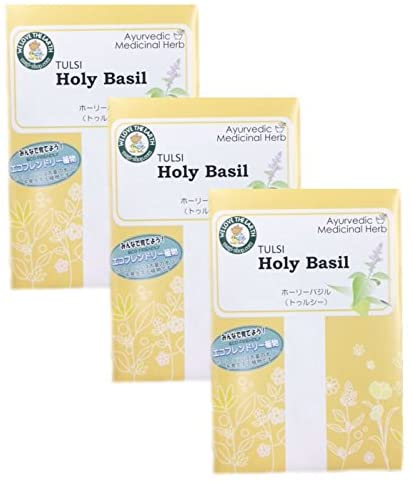 【3袋セット】 ホーリーバジルの種 (オオヤ・ラマ・トゥルシーの種） 1袋(30粒程度)×3袋のサムネイル