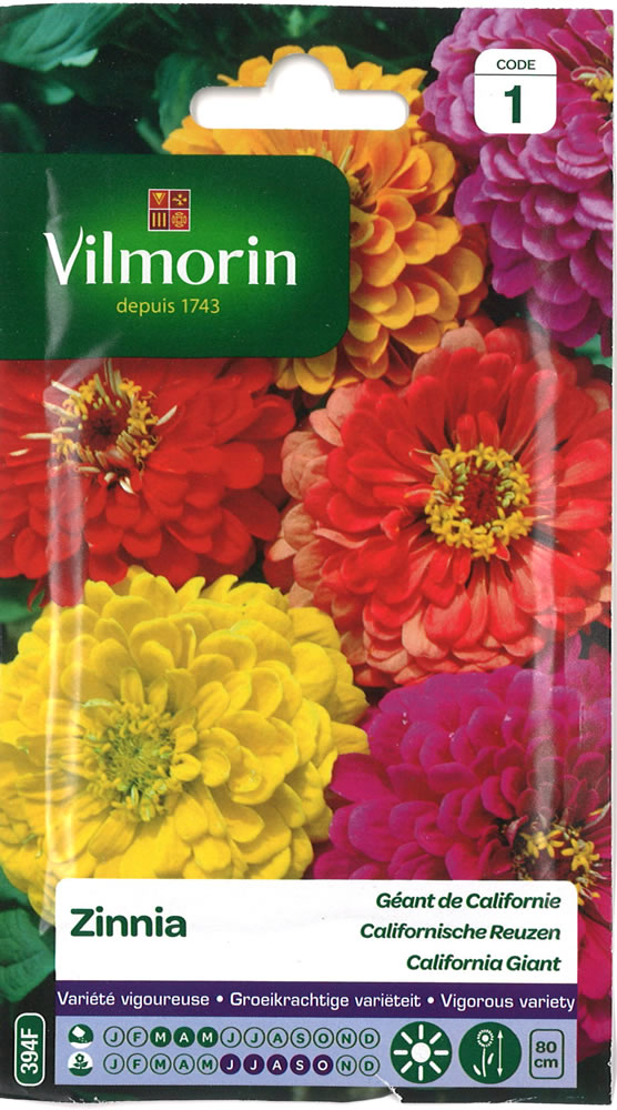種まき(3-5月) ジニアの種 Geant de Californie / Vilmorin-394F【ポスト投函便】 花 種(たね) 花壇 切り花 サマーガーデンのサムネイル