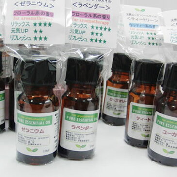 Nature Works ネイチャーワークス エッセンシャルオイル ティートリー 10ml【メール便配送可】