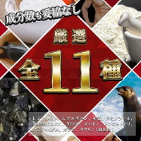 シトルリンアルギニン亜鉛サプリマカサプリメントクラチャイダムトンカットアリアミノシール等栄養機能食品TAGILAS(タギラス)1袋約30日分MAGINA(マギナ)厳選全11種配合業界屈指の配合量!あす楽送料無料【あす楽対応可】