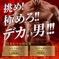【あす楽対応可】業界屈指の配合量!シトルリンアルギニン亜鉛マカクラチャイダムトンカットアリシトルリンサプリTAGILAS(タギラス)1袋厳選全11種配合※精力剤・妊活・バイアグラでなくサプリ栄養機能食品