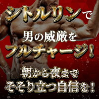 シトルリンアルギニン亜鉛サプリマカサプリメントクラチャイダムトンカットアリアミノシール等栄養機能食品TAGILAS(タギラス)1袋約30日分MAGINA(マギナ)厳選全11種配合業界屈指の配合量!あす楽送料無料【あす楽対応可】