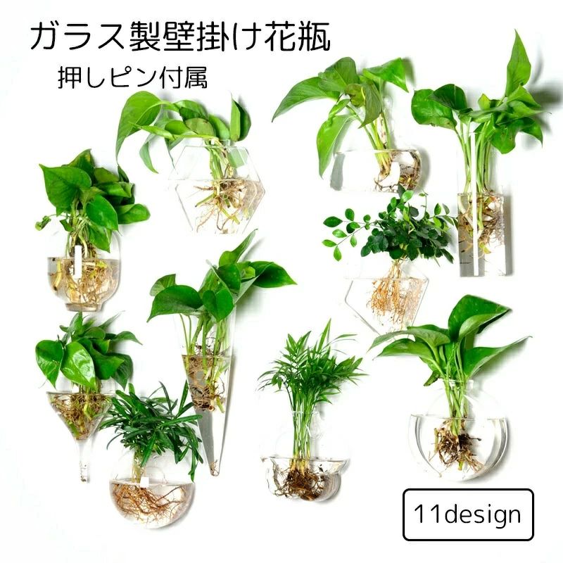 水耕栽培用の壁掛け花瓶です。 ガラス製の見た目はおしゃれで、植物をより綺麗に魅せてくれます。 形や大きさも様々なので、お部屋の雰囲気を見ながら組み合わせを楽しんでください♪ ※花瓶のみです 植物は付属しておりませんのでご注意ください 【サイズについて】 画像をご参照ください。 花瓶の間口直径（参考） 六角　大4cm　中3.5cm　小3cm 円柱　大5.5cm　小4.5cm 円形　大4cm　中3.5cm 【カラーについて】 生産ロットにより柄の出方や色の濃淡が異なる場合がございます。 お使いのモニターや撮影時の光の加減などにより 画像と実際の商品のカラーが異なる場合もございます。 予告なしにカラーやデザインなどの変更がある場合もございます。 【素材について】 ガラス水耕栽培用の壁掛け花瓶です。 ガラス製の見た目はおしゃれで、植物をより綺麗に魅せてくれます。 形や大きさも様々なので、お部屋の雰囲気を見ながら組み合わせを楽しんでください♪ ※花瓶のみです 植物は付属しておりませんのでご注意ください 【サイズについて】 画像をご参照ください。 花瓶の間口直径（参考） 六角　大4cm　中3.5cm　小3cm 円柱　大5.5cm　小4.5cm 円形　大4cm　中3.5cm 【カラーについて】 生産ロットにより柄の出方や色の濃淡が異なる場合がございます。 お使いのモニターや撮影時の光の加減などにより 画像と実際の商品のカラーが異なる場合もございます。 予告なしにカラーやデザインなどの変更がある場合もございます。 【素材について】 ガラス