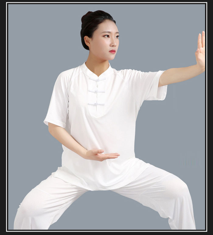太極拳 半袖 tシャツ メッシュ 太極拳ウェア 太極拳服 チャイナカラー スリット入...