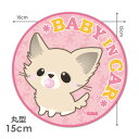 【車ステッカー】ちわわん【BABY IN CAR】ベビーインカー ベイビーインカー 丸型15cm車マグネットステッカー ゆうパケット対応210円〜