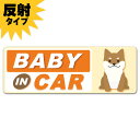 【反射マグネットステッカー】おすわり柴犬 黄色【BABY IN CAR】スリム型 車マグネットステッカー ゆうパケット対応210円～