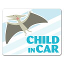 【車ステッカー】プテラノドン 恐竜【CHILD IN CAR】チャイルドインカー 車マグネットステッカー ゆうパケット対応210円〜
