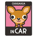 【車ステッカー】チワワ スムースコート 選べる毛色全3種【CHIHUAHUA IN CAR】ドッグインカー ペットインカー 車マグネットステッカー ゆうパケット...