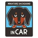 【車ステッカー】ミニチュアダックスフンド スムース タンカラー 選べる毛色全3種【MINIATURE DACHSHUND IN CAR】ドッグインカー ペットインカー 車マグネットステッカー ゆうパケット対応210円～