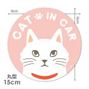 【車ステッカー】白ネコ　おすまし顔【CAT IN CAR】キャットインカー 丸型15cm車マグネットステッカー ゆうパケット対応210円～