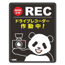 【車ステッカー】パンダ NOW ON REC【ドライブレコーダー作動中】車マグネットステッカー ゆうパケット対応210円～