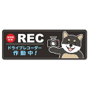 【車ステッカー】柴犬 黒柴 NOW ON REC