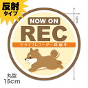【反射マグネットステッカー】ドライブレコーダー録画中 はしる柴犬 黄色【NOW ON REC】丸型15cm 車マグネットステッカー ゆうパケット対応210円〜