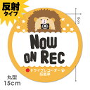 【反射マグネットステッカー】ドライブレコーダー搭載車 ハリネズミ【NOW ON REC】丸型15cm車マグネットステッカー ゆうパケット対応210円〜