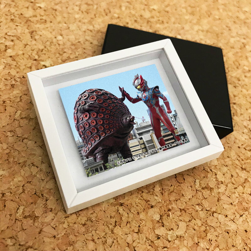 Rakuten - 額縁マグネット【タイガとタッコング】ゆうパケット対応210円〜