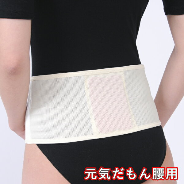 【ブラックフライデー期間ポイントUP】磁石で血行促進!【元気だもん腰用】広い面で磁気が浸透 元気だもんシリーズ【宅急便限定】