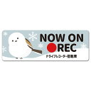 【車ステッカー】首をかしげるシマエナガ【NOW ON REC】ドライブレコーダー搭載車 スリム型車マグネットステッカー ゆうパケット対応210円〜