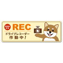 【車ステッカー】赤柴 茶柴 柴犬 NOW ON REC【ドライブレコーダー作動中】スリム型車マグネットステッカー ゆうパケット対応210円〜