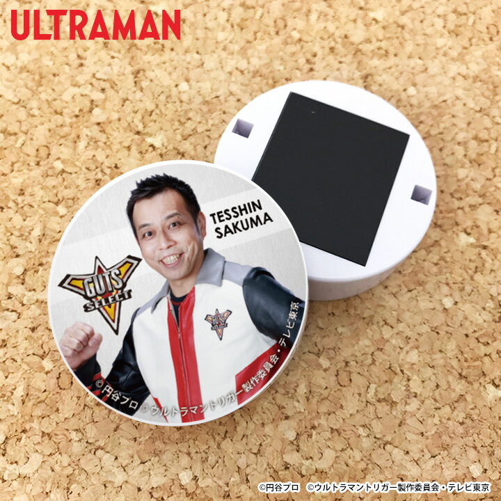 楽天市場】マグネット クリップ デビカ（ホビー）の通販