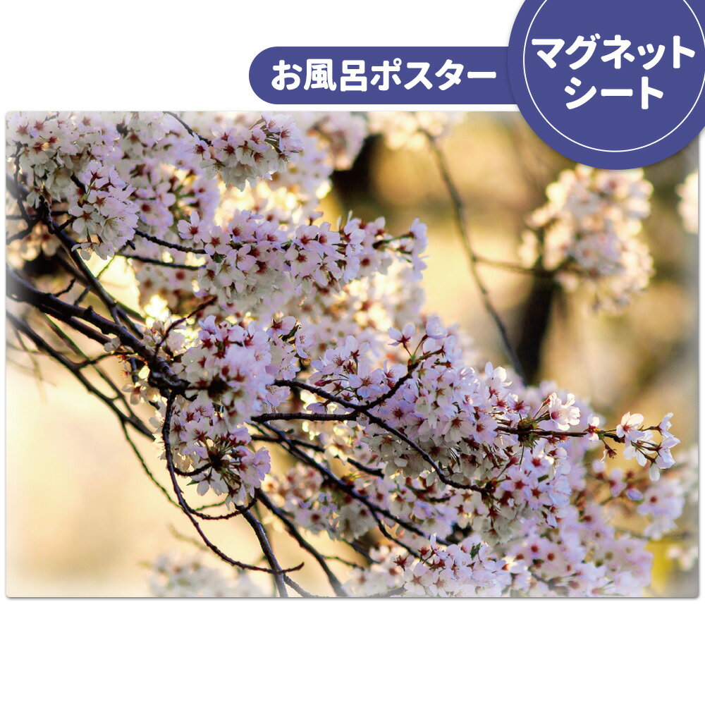 楽天市場】桜のお風呂の通販 楽天市場】桜のお風呂の通販