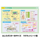 お風呂ポスター 【生き物図鑑】 中学受験シリーズ 理科 生物 図鑑 『マグネットパーク×旺文社』 勉強 旺文社 中学受験 勉強グッズ 自学 お風呂学習 学習ポス...