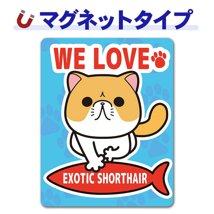 エキゾチックショートヘアキャットインカー ペットインカー 車マグネットステッカー ゆうパケット対応210円〜