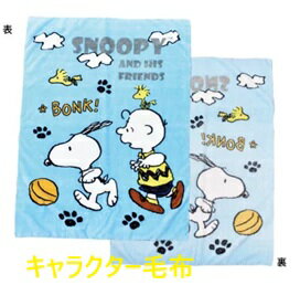 キャラクターと一緒に寝よう！毛布 プーさん プリンセス スヌーピーニューマイヤー毛布 毛布 シングルサイズ プーさん プリンセス スヌーピー キャラクター ブランケット ディズニー disney