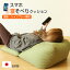 スマホ 寝そべり 快適 クッション グリーン 日本製 寝ながらスマホ 枕 ごろ寝 国産 枕 うつぶせ ビーズクッション 低反発 撥水