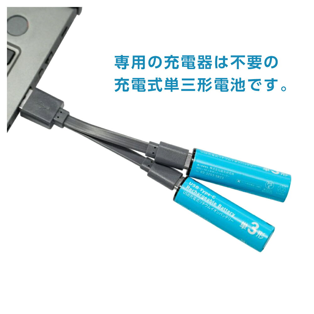 HIDISC 乾電池型 Type-C 充電池 単3形 2本セット HD-LIB2A2PC 6ヶ月保証 ハイディスク 充電式乾電池 単3 磁気研究所 リチウムイオン 電池 TypeC 直接充電 ケーブル付き 充電器不要 防災 グッズ リモコン おもちゃ 予備 メール便 magokoro-eshop-10002391 まごころ屋本店 サンプル画像3
