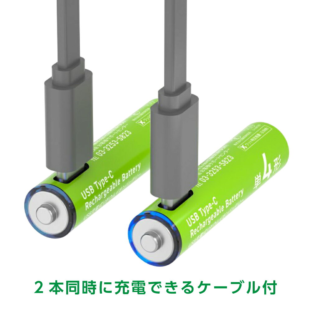 HIDISC 乾電池型 Type-C 充電池 単4形 2本セット HD-LIB3A2PC 6ヶ月保証 ハイディスク 充電式乾電池 単4 磁気研究所 リチウムイオン 電池 TypeC 直接充電 ケーブル付き 充電器不要 防災 マウス リモコン おもちゃ メール便 magokoro-eshop-10002392 まごころ屋本店 サンプル画像3