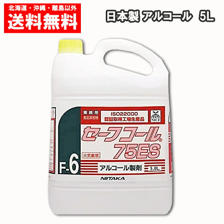 外皮消毒剤 消毒用エタノールMIX 「カネイチ」 10L【指定医薬部外品】