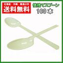 プラスチック スプーン 16cm アイボリー 100本 個包装 使い捨て 送料無料
