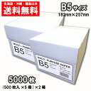 コピー用紙 B5 5000枚(500枚×10冊) APPJ 高白色 印刷 用紙 送料無料 b5 2ケース