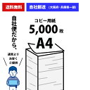 【自社便】法人様・個人事業主限定 コピー用紙 A4 5000枚(500枚×10冊) APPJ 高白色 印刷 用紙 送料無料 a4 2500枚×2ケース