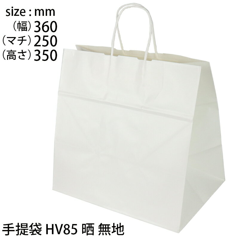 手提げ袋 紙 白無地 HV85晒無地 (t0) | ギフトバッグ 紙丸紐白 手提袋 XZT00943
