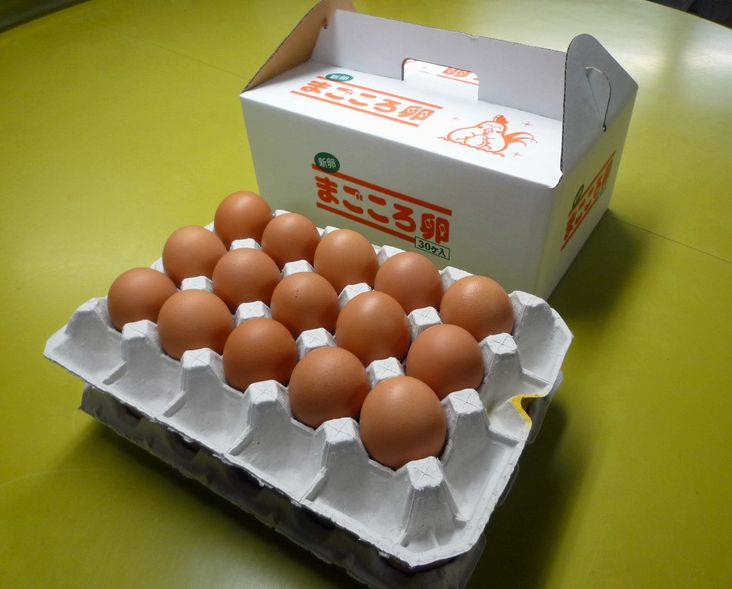 【送料無料！】北海道・沖縄別途500円まごころたまご 30個(割れ保証8個含む）　M〜Lサイズ　【楽ギフ_のし宛書】