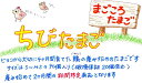 【送料無料！】北海道・沖縄 送料別途500円訳ありちびたまご 90個（割れ保証20個含む）　S〜MSサイズ送料無料！！